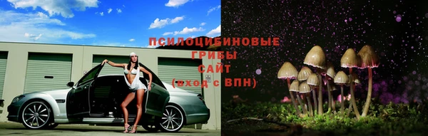 ПСИЛОЦИБИНОВЫЕ ГРИБЫ Горно-Алтайск