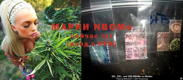ПСИЛОЦИБИНОВЫЕ ГРИБЫ Горно-Алтайск