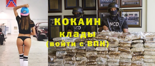 ПСИЛОЦИБИНОВЫЕ ГРИБЫ Горно-Алтайск