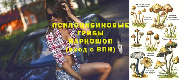 ПСИЛОЦИБИНОВЫЕ ГРИБЫ Горно-Алтайск