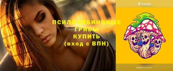 ПСИЛОЦИБИНОВЫЕ ГРИБЫ Горно-Алтайск